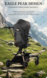  360° Rotating Reversible Seat | Ultra Lightweight Aluminium Frame | UPF 50++ Canopy | Pyramid Mechanism Structure for stability | Electroplated Push handle | Magnetic Peek a Boo Window | Auto Lock Folding